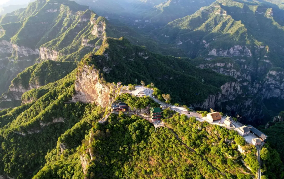 沁阳神农山白皮松古树群