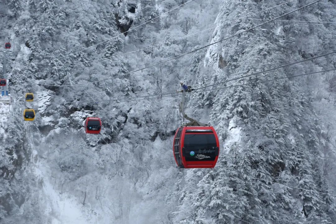 穿越时间长河，云赏老君山历年雪景