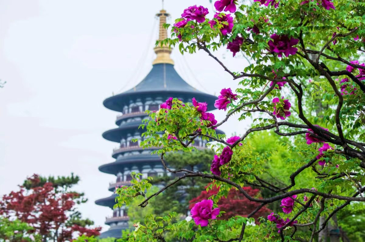河南文旅消费势头强劲