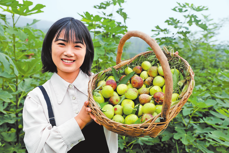 农民丰收节活动方案出炉