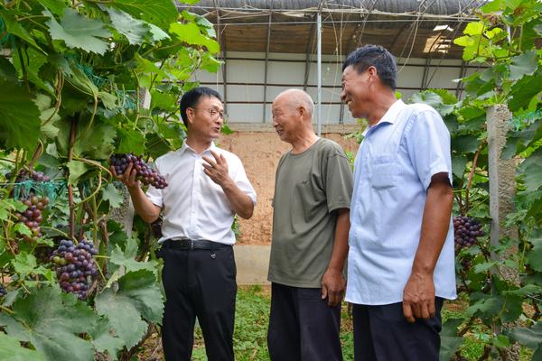 在全国人大代表,辉县市裴寨村党支部书记兼村委会主任裴春亮近15年的