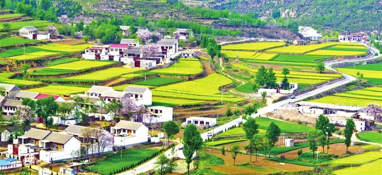 在希望的田野上丨在乡村振兴中加快实现农业强省目标_河南要闻_河南省