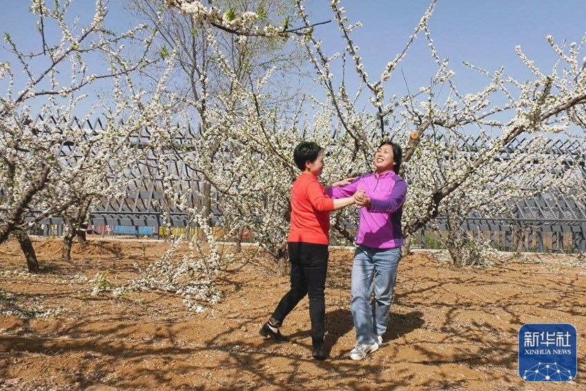 行走河南·读懂中国丨春意浓浓 我省各地花期如约而至
