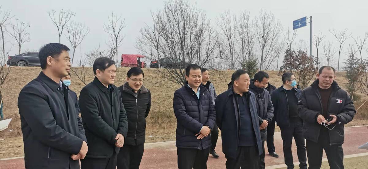 开封市王秋杰副市长督导调研祥符区沿黄生态廊道建设情况