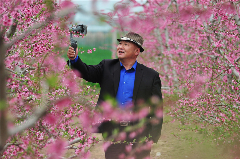 滑县：春风带信 桃花有约