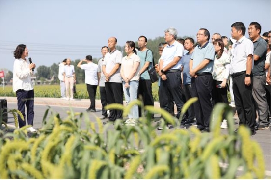 【洛阳市】全省谷子红薯高效种植技术示范观摩会在洛阳召开