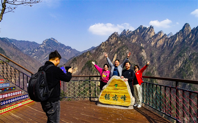 南阳老界岭“伏牛山开山节”暨万亩花海观赏季盛大开幕