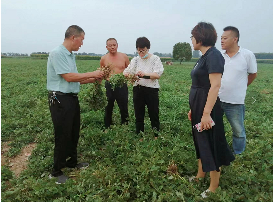 沈丘县审计局“穿透式”审计强化产油大县奖励资金项目全链条监管