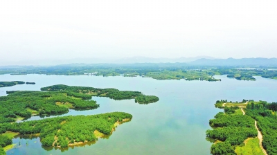 《湿地保护法》6月1日起施行<br>法治赋能 守护湿地之美