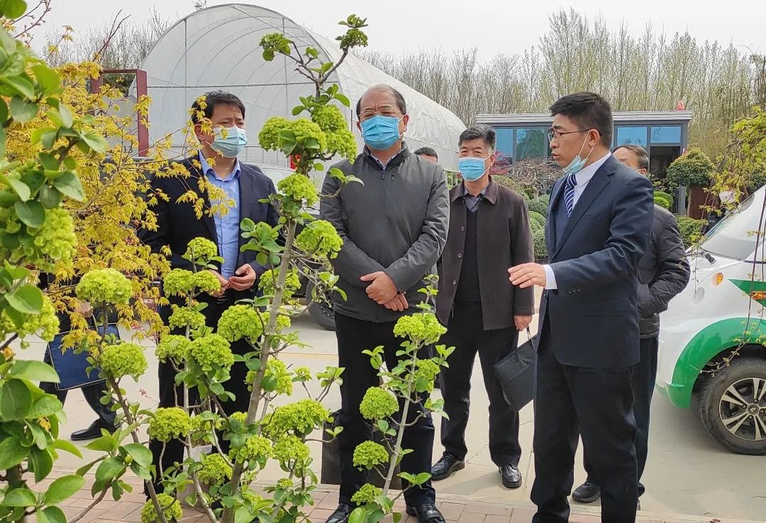 王伟调研郑州陈砦花卉双桥花鸟市场