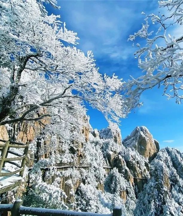 穿越时间长河，云赏老君山历年雪景