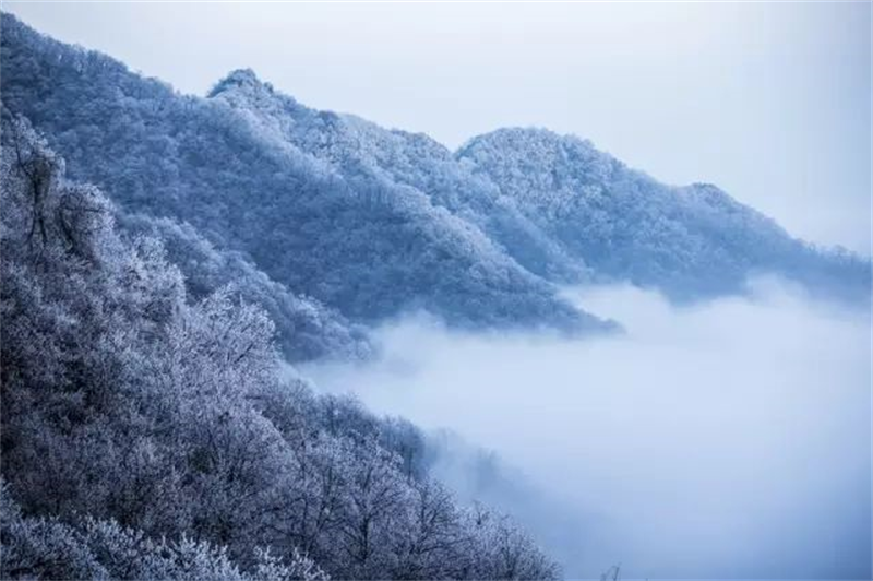 玩转河南 | 济源向全国游客发出热情邀请