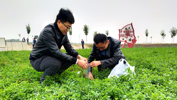 农业农村部专家组对我省高产优质苜蓿示范建设项目进行调研评估