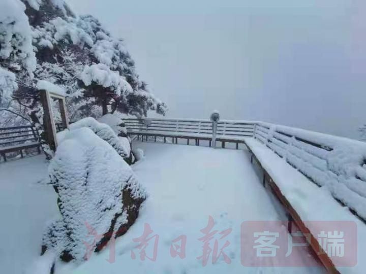 南阳老界岭呈现壮美雪景