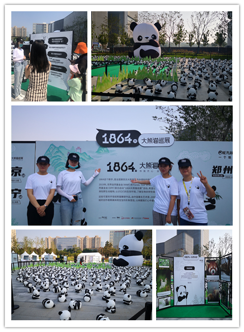 “1864大熊猫巡展”公益科普活动在郑州举办