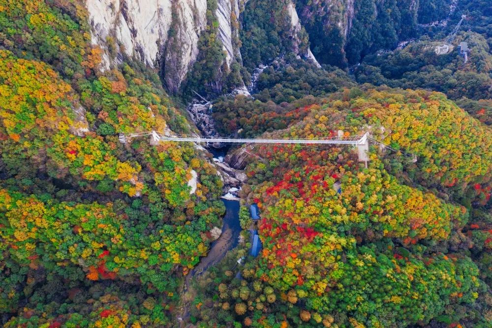 【行走河南·读懂中国】10月1日-31日 洛阳白云山对全国游客免门票