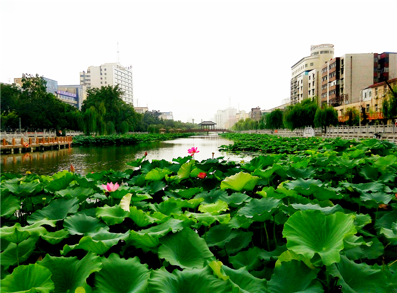 许昌市文化和旅游工作成绩及亮点