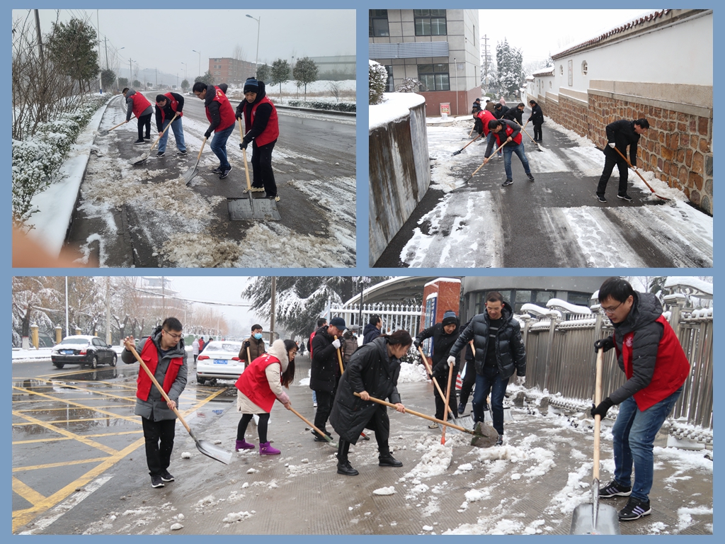 志愿服务在行动 清扫冰雪暖人心