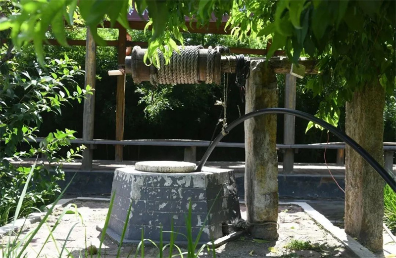 行走河南·读懂中国丨宝丰邢庄村：移步换景 酒香盈村