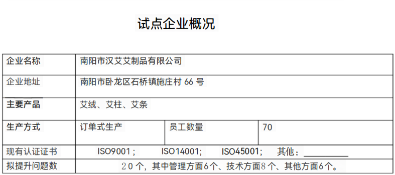 南阳市汉艾艾制品有限公司