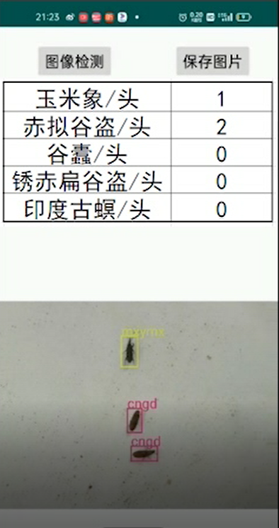 储粮害虫在线识别系统