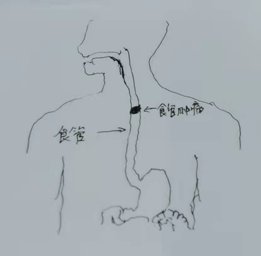 clip_image001.jpg