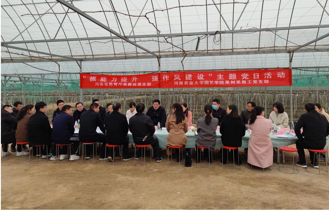 省教育厅高教处党支部开展“抓能力提升 强作风建设”结对共建活动 省教育厅高教处党支部开展“抓能力提升 强作风建设”结对共建活动