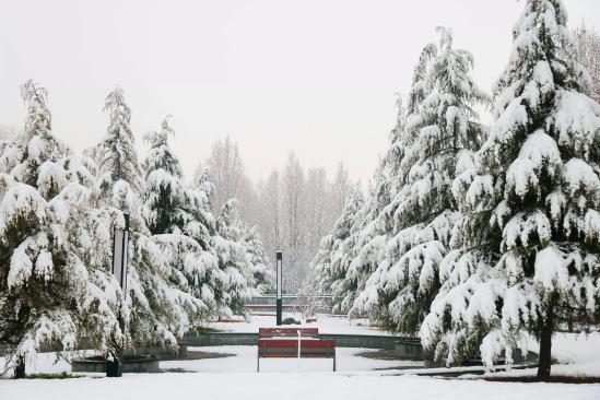 校园雪景