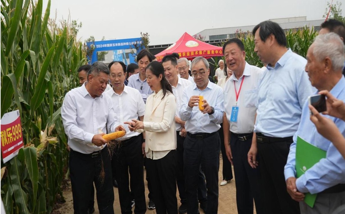 2024年國家玉米花生新品種核心展示示范觀摩會<br>在中原農(nóng)谷成功舉辦