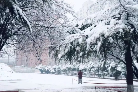 雪中人