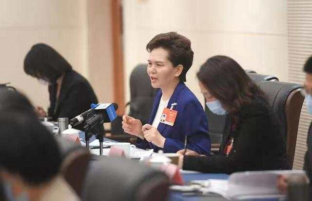 河南代表团审议全国人大常委会工作报告“两高”报告等