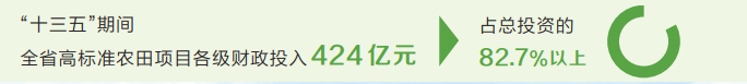 看河南高标准农田建设这十年——希望的田野筑就“金粮仓”   