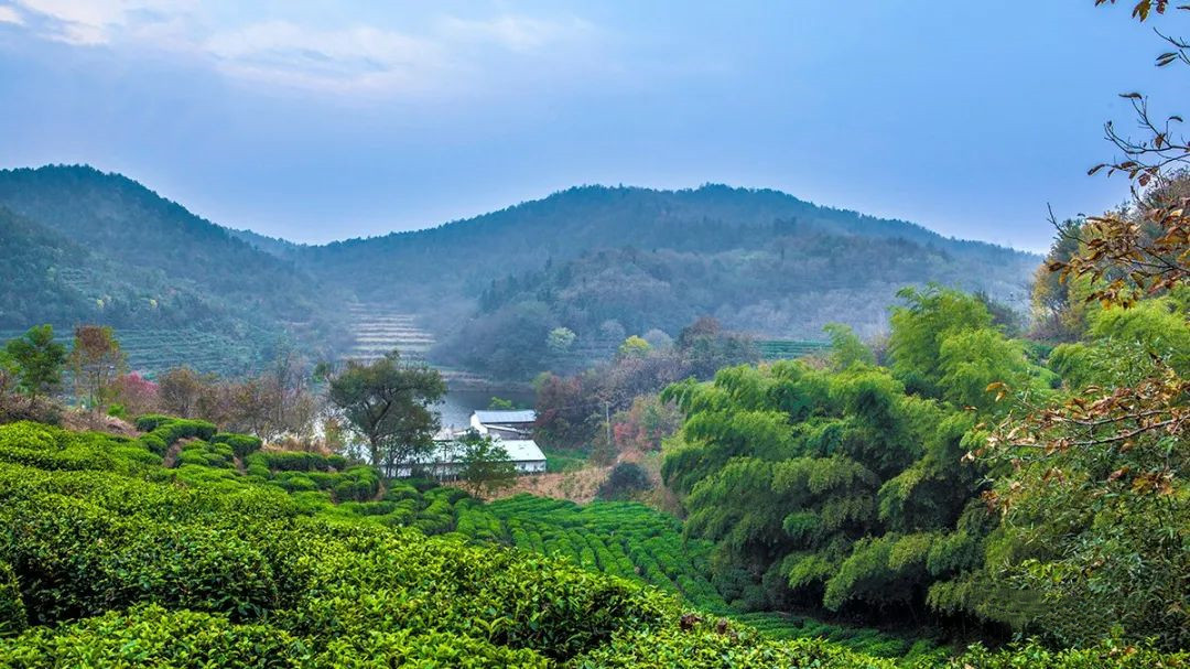 光山：秋意渐浓 来东岳寺村度过一段慢时光