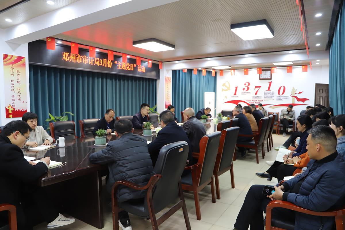 邓州市审计局开展3月份“主题党日”活动
