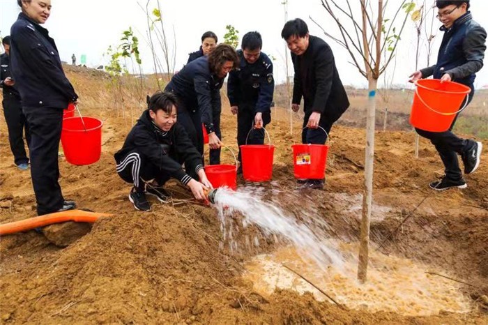 南召縣現場南陽市人大常委會副主任,內鄉縣縣委書記李長江,縣長楊曙光