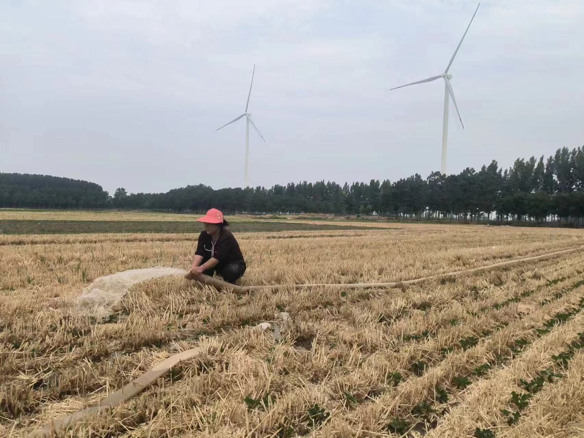 河南广播电视总台：快讯！河南将水旱灾害防御（抗旱）Ⅳ级应急响应提升至Ⅲ级