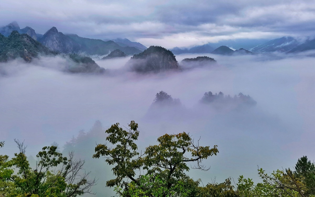 【行走河南·读懂中国】老界岭云海漫卷美如画