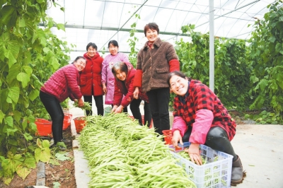 邓州 “花样”助力乡村振兴