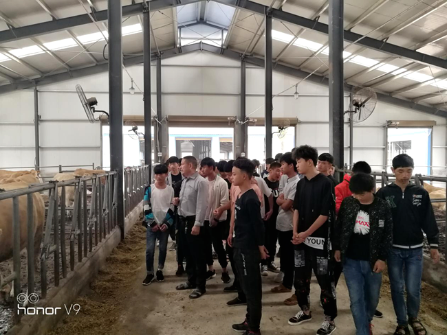 【现代农业产业园脱贫带贫范例】泌阳县夏南牛现代农业产业园：