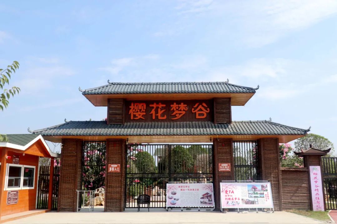 驻马店：天中美景惹人醉 文旅复苏人气足
