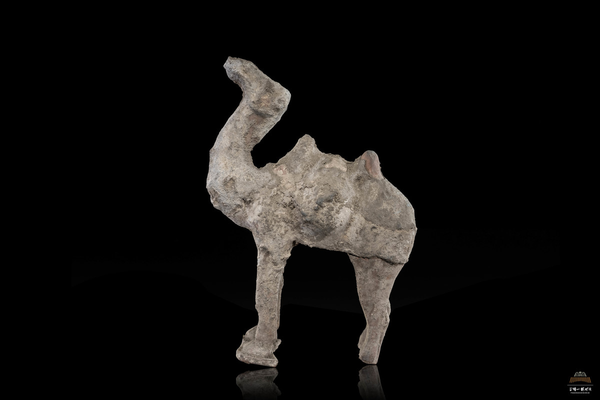 指尖上的国宝㉕ | 汉红陶骆驼-河南省文物局