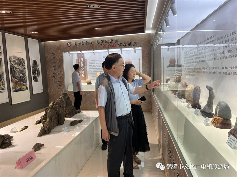 省现代公共文化服务体系建设绩效考核组到鹤壁市考核
