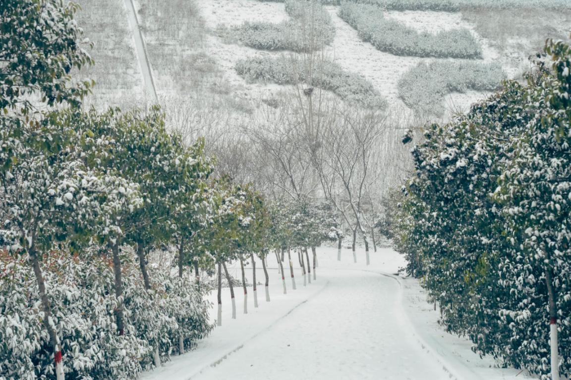 雪中校园