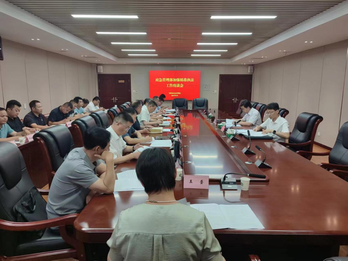 应急管理部在安阳召开加强精准执法工作座谈会