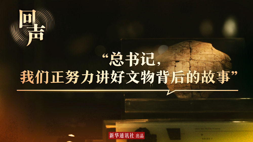 回声｜“总书记，我们正努力讲好文物背后的故事”