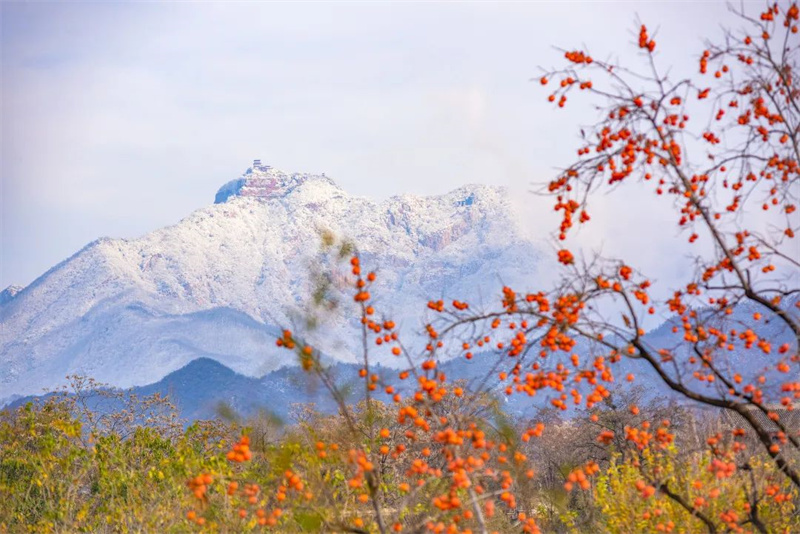 王屋山推出“冬游邀约”特惠活动