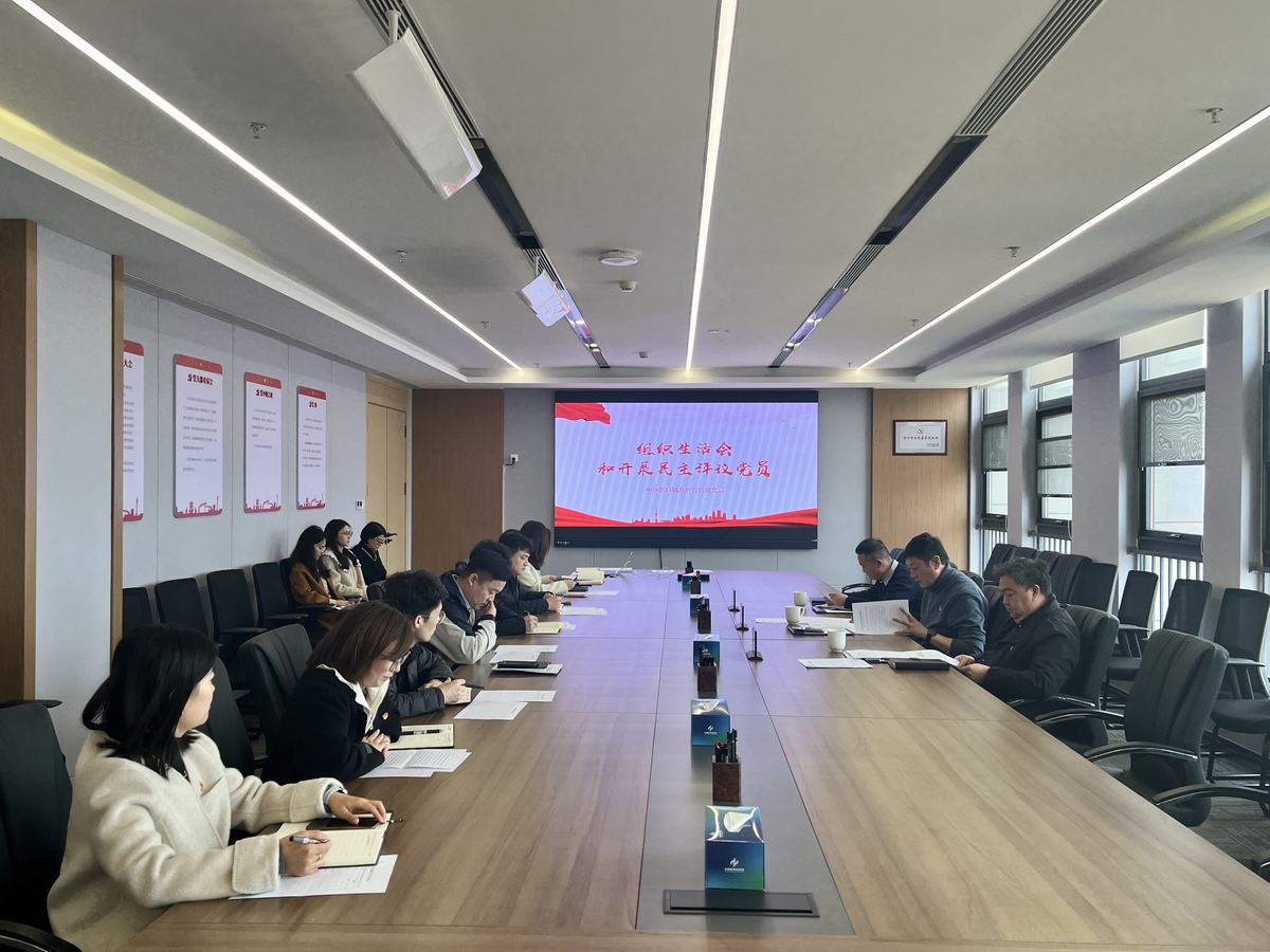 主题党日+“组织生活会”