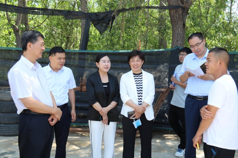 省粮食和储备局党组书记、局长黄道功到濮阳、鹤壁调研夏粮收购、防汛等工作