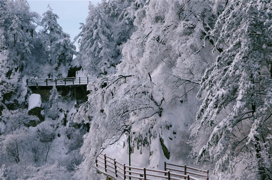 雪后老君山雾凇云海，琼楼玉宇美成仙境