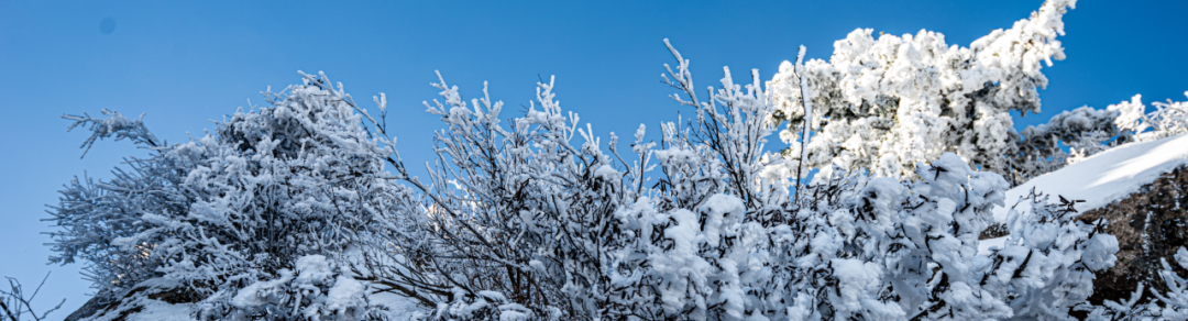 白云山：冬已至，雪入怀